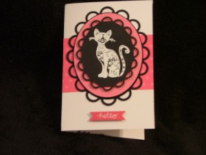 embossed cat 2