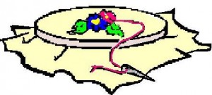 embroidery hoop