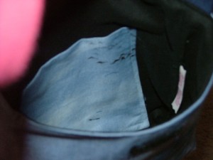 This is the inside of the small "castle" tote.  It has more of the flying monkeys on it. 