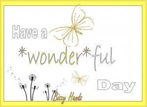 day of wonder1